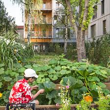 Archi5 Le Bourg Dwellings Montreuil