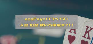 ポーカー向け】ecoPayz(エコペイズ)の登録・入金・出金・使い方を徹底解説 – あにまるポーカー部!