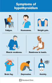 Image result for Thyroid Function Test