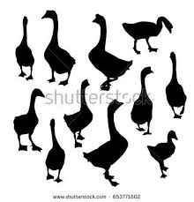 Black And White Goose Silhouette Set Geese Black Duck Goose Silhouette Isolated On White Background Vector Illustration Duck Silhouette Silhouette
