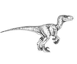 Jurassic world realistic dinosaur coloring pages. Raptor Jurassic World Dinosaur Coloring Pages Coloring And Drawing