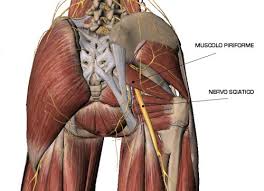 Femme ou un homme : 3 Muscles A Ne Plus Jamais Negliger My Training Diary
