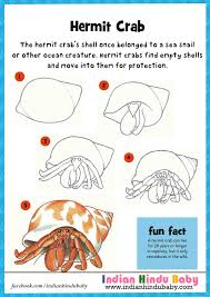 Draw drawig drawing drawingtutorials sketches. Hermit Crab Can Lives For 20 Years Or Longer Teach Your Kid To Draw And Paint Crab With Simple Drawing Tips Crab Painting Easy Drawings For Kids Easy Drawings
