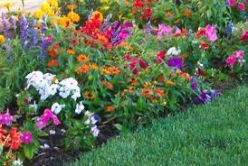 Good Color Combos Flower Garden Design Small Flower Gardens Spring Garden Flowers