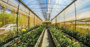 Gardener's supply is america's number one resource for gardening. Greenhouse Supplies Saginaw Fall Garden Tips Courtesy Of Your Local Greenhouse I Abele Greenhouse Garden Center