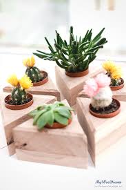 Marrakesh Cache Pot En Bois Pour Petit Cactus Ou Succulentes Une Idee Qui Sublimera Une Deco Naturelle Et Simple Style Deco Naturelle Succulentes Cache Pot