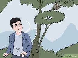 If you need to move the nest, you may need a permit. How To Move A Bird Nest Wikihow
