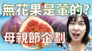 圓柏老師講解榕果小蜂- YouTube