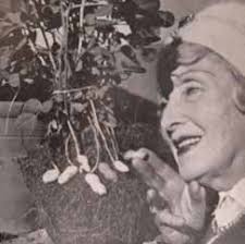 The Old Eastbournian 2018