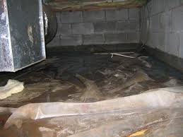However, the modern basement tends to have a more expansive purpose. Closed Crawlspaces Energy Efficient Contractor Green Home Renovations Wilmington Nc