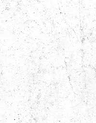 UNDERGRADUATE RESEARCH POSTER SESSION ABSTRACT BOOK 2022