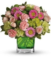 Thanks to this dense florist network it is. Make Her Day By Teleflora In Logan Ut Plant Peddler Floral