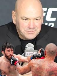 Dana White's Insights