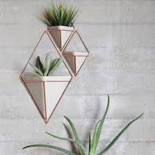 Pin By Ismet Nahya On Detalhes Plant Decor Hanging Plants Diy Hanging Planter