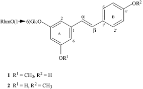 Image result for Elephantorrhiza goetzei