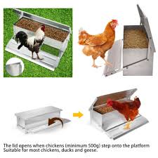 Auto Chicken Feeder 5Kg Aluminium Treadle Poultry Feeder Ratproof  Water-Resistant Self Opening Feeder For Chicken Ducks Most Poultry | Fruugo  Bh