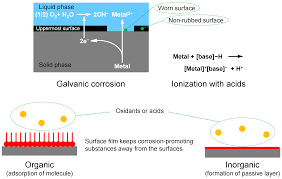 Applied Sciences Free Full Text Molecular Science Of