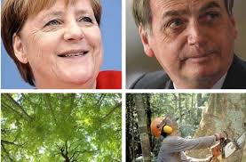 The election of the rightwing jair bolsonaro in brazil is set to bring radical changes, including opening the amazon to mining. Was Brasiliens Prasident Kanzlerin Merkel Rat Nehmen Sie Diese Knete Und Forsten Sie Deutschland Wieder Auf Panorama Stuttgarter Nachrichten