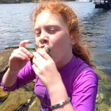 Merrijig community Newsletter August 2013