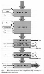 Beer Physics Introduction