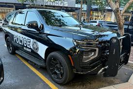 Image result for Arizona Beige 2021 Interceptor