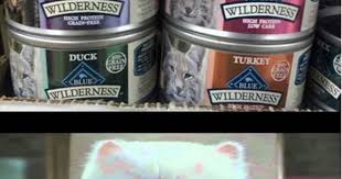Cat Nivore