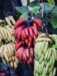 Maybe you would like to learn more about one of these? 11 Jenis Pisang Di Indonesia Kenali Cara Mengolahnya Agar Nikmat Kala Dikonsumsi Lifestyle Liputan6 Com