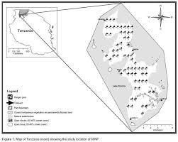 Image result for Lecaniodiscus fraxinifolius