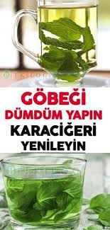 Gobegi Dumduz Yapin Karacigeri Yenileyin Pflanzenheilkunde Tipps Zum Abnehmen Abnehmen Bauch