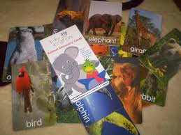 Intro your baby's emotions your baby's senses your baby's language skills. Animal Discovery Cards Baby Einstein 29 Flash Cards Yg Men Flickr