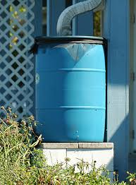 We did not find results for: 55 Gallon Rain Barrel Marine Resources Council