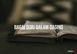 Pernyataan anak itu kepada ibunya sangat menyakitkan, bagaikan duri dalam daging. Arti Bagai Duri Dalam Daging Di Kamus Besar Bahasa Indonesia Kbbi Lektur Id