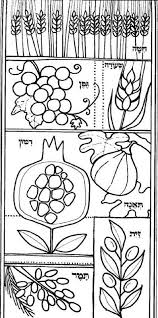 Welcome to one of the largest collection of coloring pages for kids on the net! Sukkot Coloring 5 Gender Desk