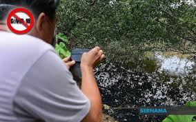 We did not find results for: Bernama Environmental Degradation Haunts Kuala Langat Residents