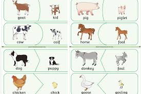 free farm animals and their young match game early years