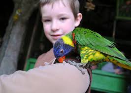 Family Time: Portland Aquarium