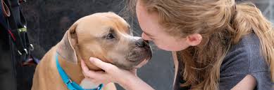 Our adoption location is mostly at petco, 1331 hooper avenue, toms river, nj almost every sunday. Preparing For Your Pup Muddy Paws Rescue