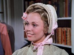 The Illustrated Little House