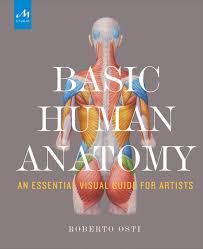 Chapter 10 bones, muscles, and skin section 10 1 organization and homeostasis (pages ) this section tells how an animal s body is organized and describes the four types of tissue in animals it also. Basic Human Anatomy An Essential Visual Guide For Artists Osti Roberto Drake Peter 9781580934381 Amazon Com Books