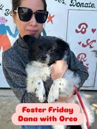 Roxy is ready to start her search for a family. She will be making  appointments to meet families this coming weekend. The plan is that she  will be spayed and go home