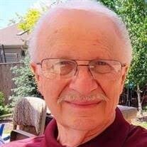 Michael J Wynns Obituary (2024)