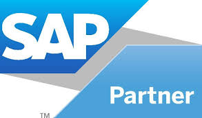 Itsmobile provides a framework for generating html browser based screens for any sap transaction. Roles And Responsibilities Of Your Sap Partner Leverage Technologies