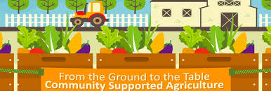 Community Supported Agriculture Boxes - KidZCommunity