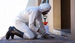 We at zenith environmental pest control are the professionals with the most experience! A Thorough Winter Pest Control