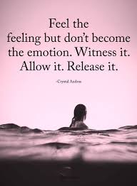 Beware Of Meditation Scams Meditation Quotes Yoga Quotes Positive Affirmations