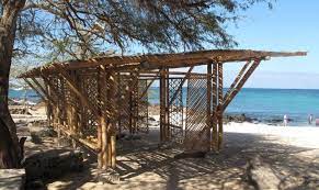 Galapagos Beach Shelter Shows Off The Versatility Of Renewable Bamboo Shelter Design Bamboo Architecture Shelter