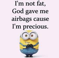 Air Bags Funny Diet Quotes Funny Minion Quotes Minions Funny