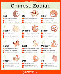 whats your chinese zodiac sign zodiac signs chinese