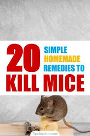 Plus, getting rid of mice the natural way has another advantage. 18 Diy Mice Repellent Ideas Mice Repellent Getting Rid Of Mice Diy Mice Repellent