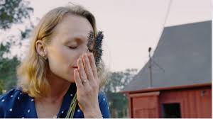 Magical Plant Rituals for Winter Solstice